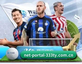 net-portal-333ty.com.cn APP