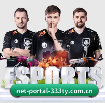 net-portal-333ty.com.cn APP 界面